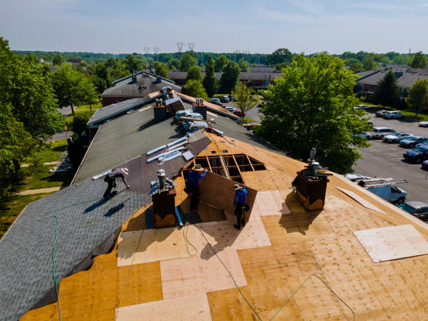 Best Flat Roof Repair Services  in Combee Settlement, FL