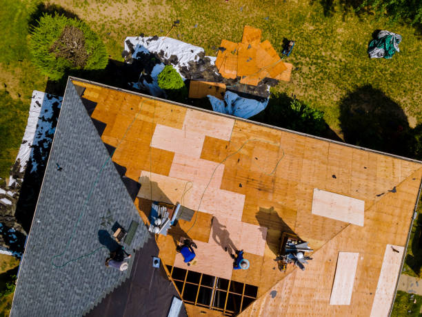 Best Storm Damage Roof Repair  in Combee Settlement, FL