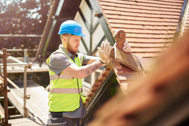 Best New Roof Installation  in Combee Settlement, FL